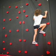 Load image into Gallery viewer, G2N™ Climbing Wall
